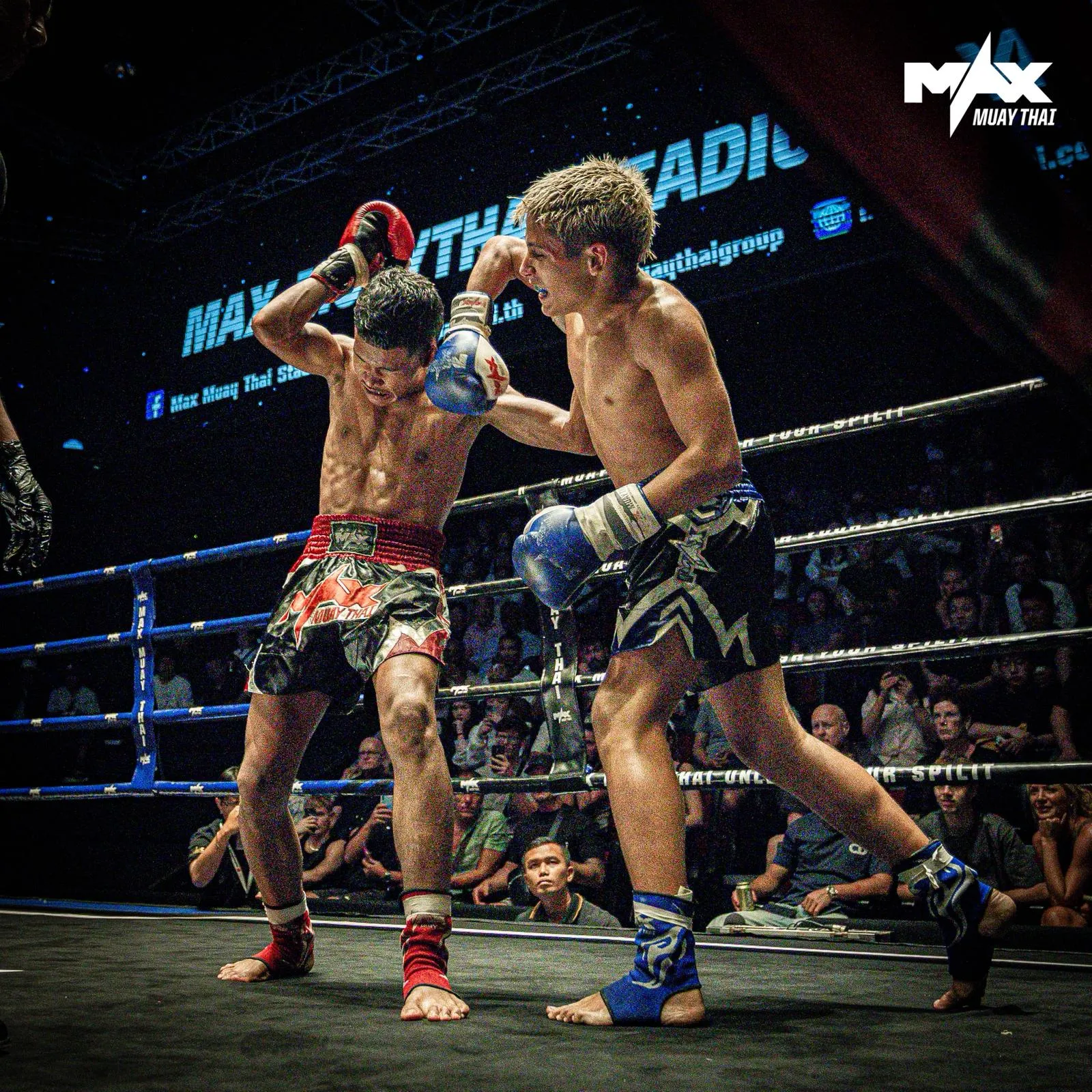 César Matador en combate